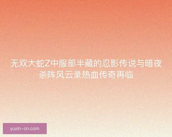 无双大蛇Z中服部半藏的忍影传说与暗夜杀阵风云录热血传奇再临