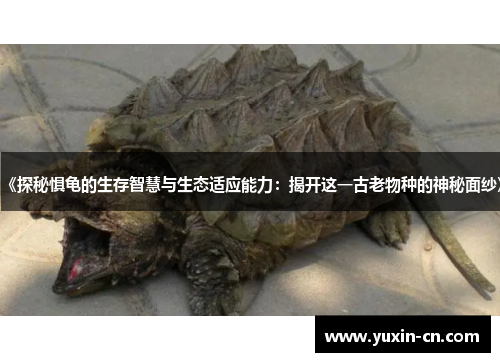 《探秘惧龟的生存智慧与生态适应能力：揭开这一古老物种的神秘面纱》