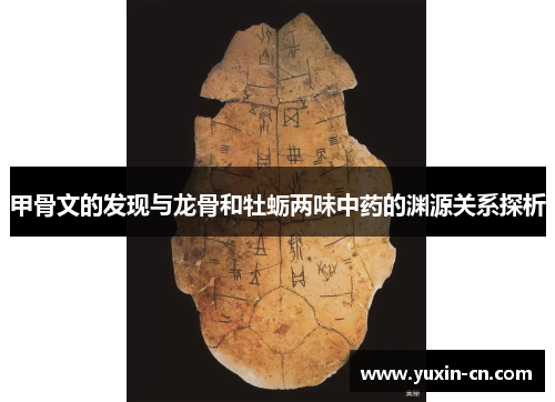 甲骨文的发现与龙骨和牡蛎两味中药的渊源关系探析